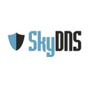 SkyDNS