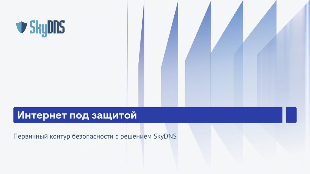 Интернет под защитой: Первичный контур безопасности с решением SkyDNS ...